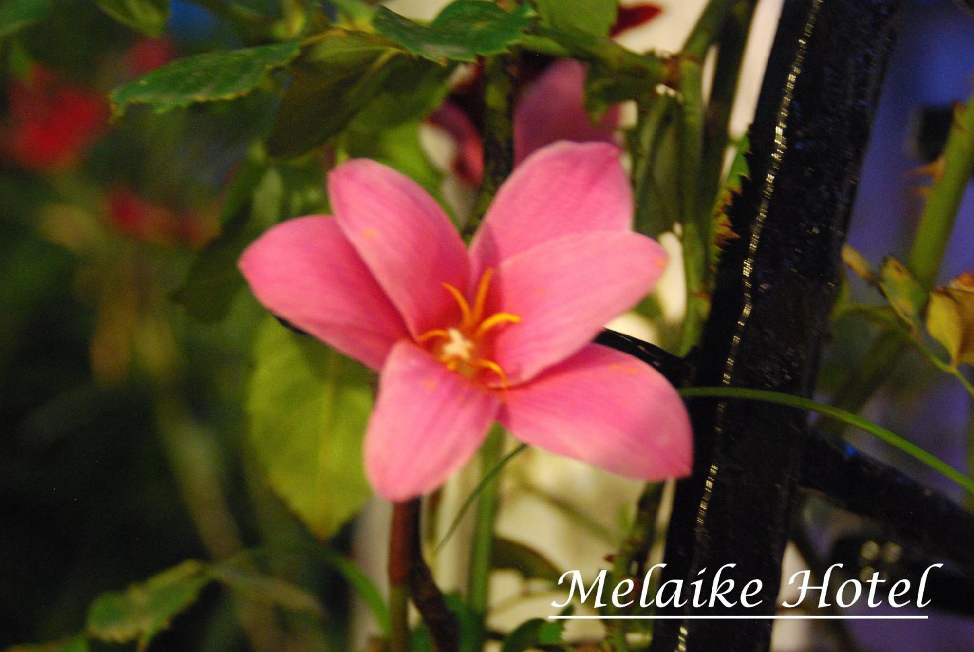 Melaike Hotel Fokaja Zewnętrze zdjęcie